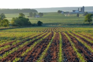 Farm and Mountain Landscape